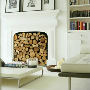 Fireplace with polyurethane decor